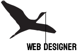 Web Designer